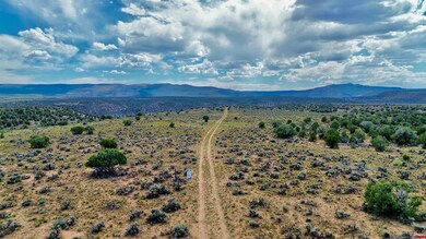 Lot 1 Dd Rd, Naturita, CO 81422 - photo 6