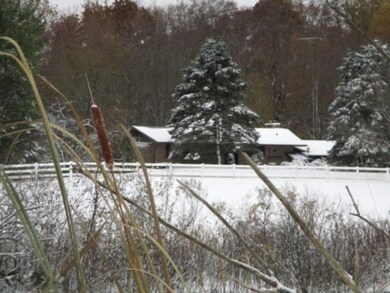 View of house from the pond