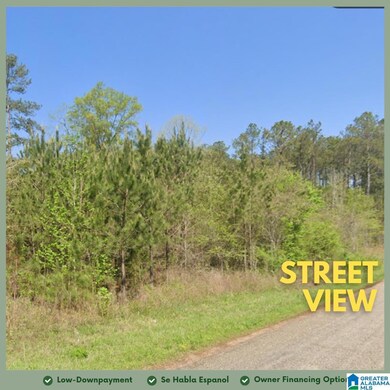 Tract 2B County Road 329, Wedowee, AL 36278 - photo 4