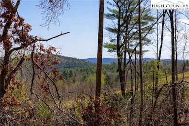 27 Wilderness Reserve Pkwy, Deep Gap, NC 28618 - photo 3