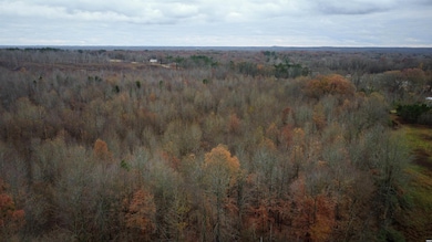 907 Highway 22 unit Evergreen, Dresden, TN 38225 - photo 7