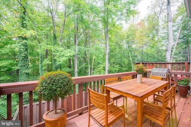 5102 Spring Branch Blvd, Dumfries, VA 22025 - photo 4