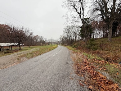 440 Hickstown Rd, Herod, IL 62947 - photo 5