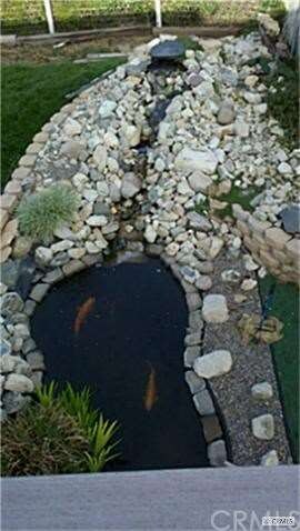 Koi Pond with waterfall.  Stunning!  Next to custo