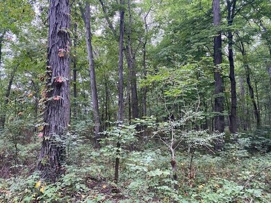 0 St Rt 123 unit 1675576, Perry Township, OH 45107 - photo 7