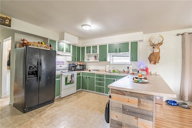 1010 E 3rd St, Pana, IL 62557 - photo 5