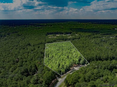 17526 E Terrace Oaks Dr, Waller, TX 77484 - photo 7