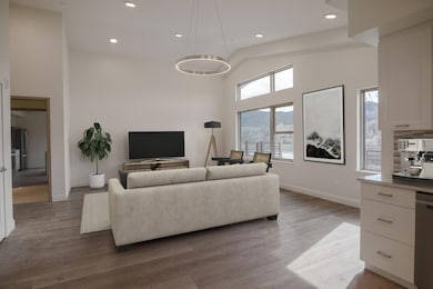 199 River Ln unit M1A 201, Ridgway, CO 81432 - photo 5