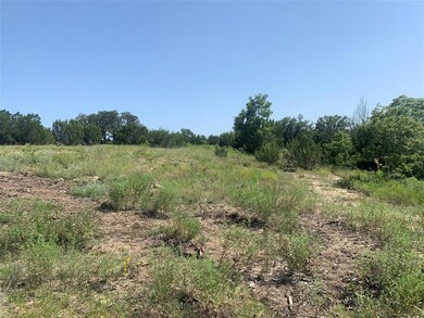 2104 Eagles Crest Ln, Brock, TX 76087 - photo 2