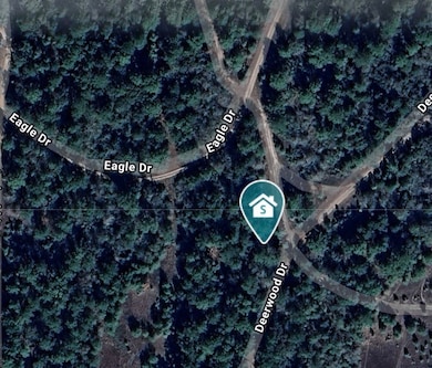 17922 Deerwood Dr, Hempstead, TX 77445 - photo 2