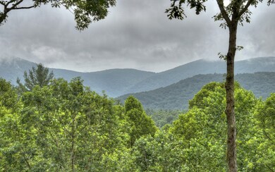 Additional View