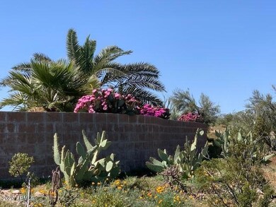 21800 W Gibson Way, Wickenburg, AZ 85390 - photo 5