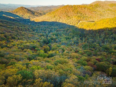 TBD Summer Haven Rd unit 1-6, Swannanoa, NC 28778 - photo 6