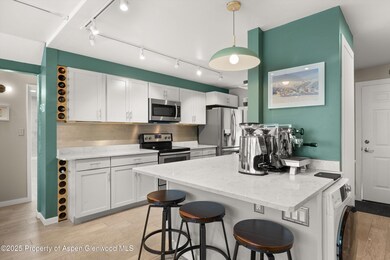 950 Vine St unit 950, Aspen, CO 81611 - photo 7