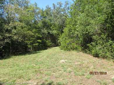 View. Right fork goes to the pond.