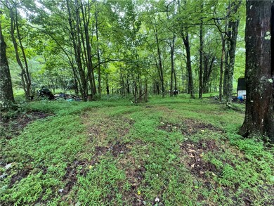 land behind home site