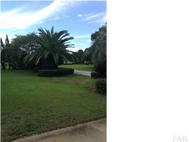 Nice mature palm trees!