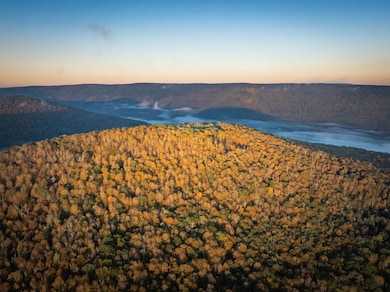 TBD Laurel Creek Trail, Marlinton, WV 24954 - photo 5