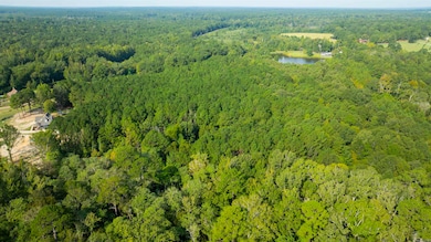 11.73 acres Mount Holly Rd, El Dorado, AR 71730 - photo 2
