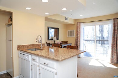 202 Timbers Condos, Wintergreen, VA 22958 - photo 6