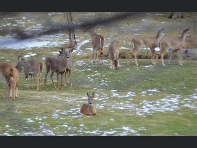 31064 Daniels Dr, Genoa, IL 60135 - photo 3