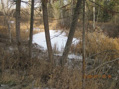 1445 Woodland Ave, Kalispell, MT 59901 - photo 5