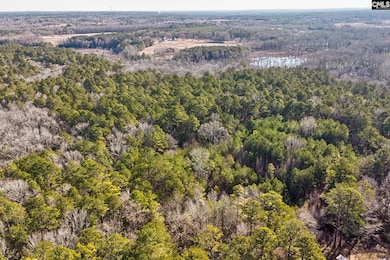 50 Thorn Way, Elgin, SC 29045 - photo 4