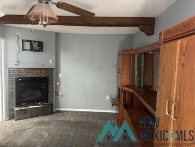 608 N Maple St, Carlsbad, NM 88220 - photo 5