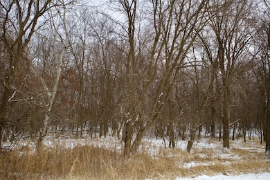 16XXX 4th Ave E, Lynden Township, MN 55382 - photo 6