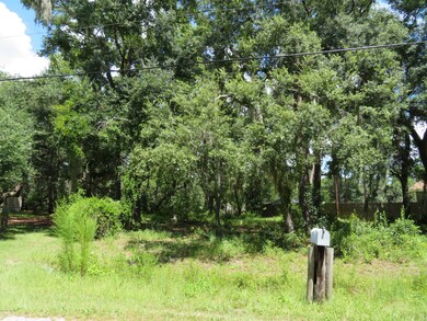LOT 14 Duck Lake Dr, Fernandina Beach, FL 32034 - photo 2