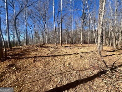 3853 Reservoir Dr unit TRACT 12, Gainesville, GA 30507 - photo 4