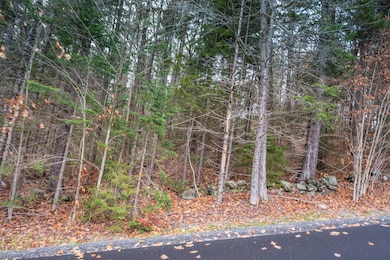 63 Villager Loop, Dover, VT 05356 - photo 2