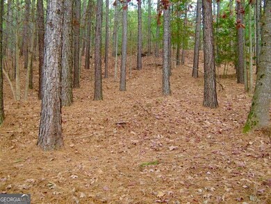 41 Golden Delicious Rd, Clarkesville, GA 30523 - photo 5