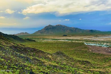 16465 E Peak Ln, Picacho, AZ 85141 - photo 6