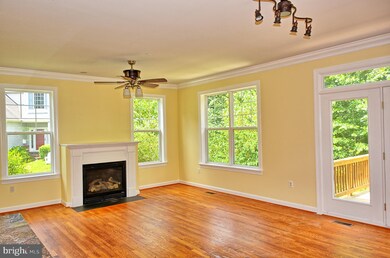 3807 Lawrence Ave, Kensington, MD 20895 - photo 5
