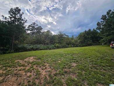 94 County Road 258, Clanton, AL 35046 - photo 2