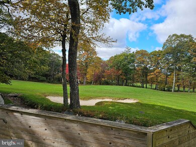 2149 Fairway Woods, Wintergreen Resort, VA 22967 - photo 3