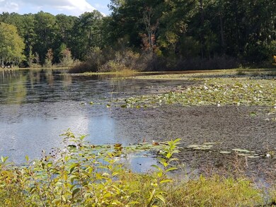 PLEASURE LAKE