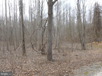 0 Sunrise Green-Caisson Dr unit VAFX1096716, Fairfax, VA 22030 - photo 5