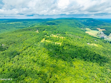 L4.3 Cass Hill Rd, Voorheesville, NY 12186 - photo 7