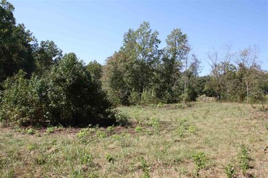 0 Holly Springs Rd unit 265706, Inman, SC 29349 - photo 2