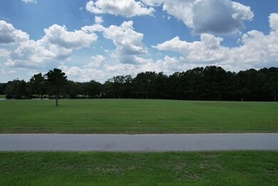 1441 Bojo Cir unit Lot 29, Manning, SC 29102 - photo 2