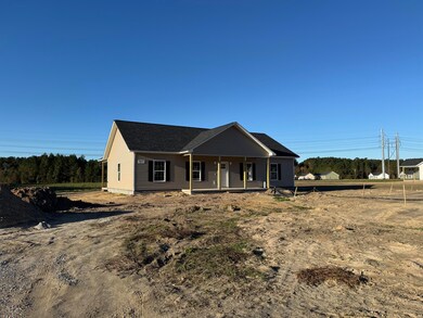 677 Winningham Rd, Saint George, SC 29477 - photo 2