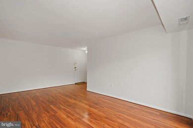 6139 Leesburg Pike unit 402, Baileys Crossroads, VA 22041 - photo 3