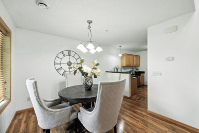 5460 100th Ln N, Brooklyn Park, MN 55443 - photo 5