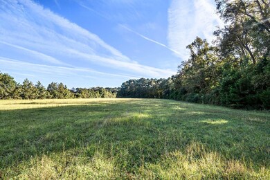 2459 Plow Ground Rd, Johns Island, SC 29455 - photo 7