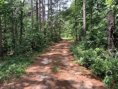 1054 Mount Sinai Rd, Lula, GA 30554 - photo 5