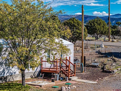 17199 2550 Rd, Cedaredge, CO 81413 - photo 4