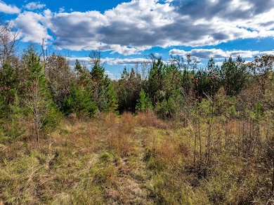 00 Bulman Rd, Roebuck, SC 29376 - photo 6