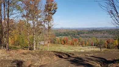 000 Derricks Dr unit 6, Wheelock, VT 05851 - photo 6